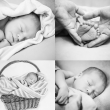 Focen� d�t�, newborn, novorozeneck� fotografie, Nikol Obrov� fotografka Praha, focen� d�t� , rodinn� fotografie