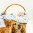 Focen� d�t�, newborn, novorozeneck� fotografie, Nikol Obrov� fotografka Praha, focen� d�t� , rodinn� fotografie