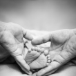 Focen� d�t�, newborn, novorozeneck� fotografie, Nikol Obrov� fotografka Praha, focen� d�t� , rodinn� fotografie