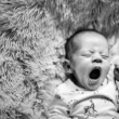 newborn focen� Praha, novorozeneck� fotografie, fotografka Praha Nikol Obrov�